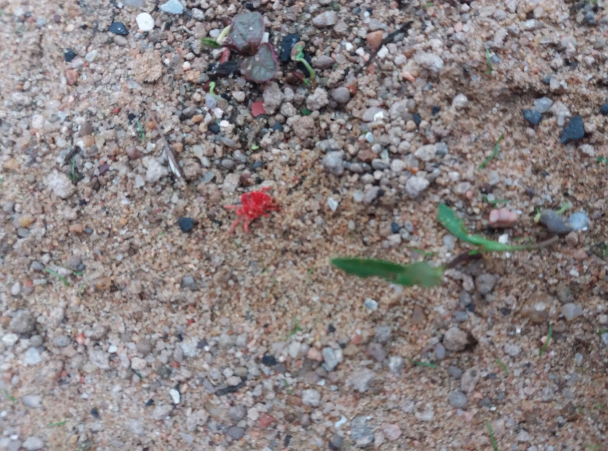 6249564453038143471-account_id=2