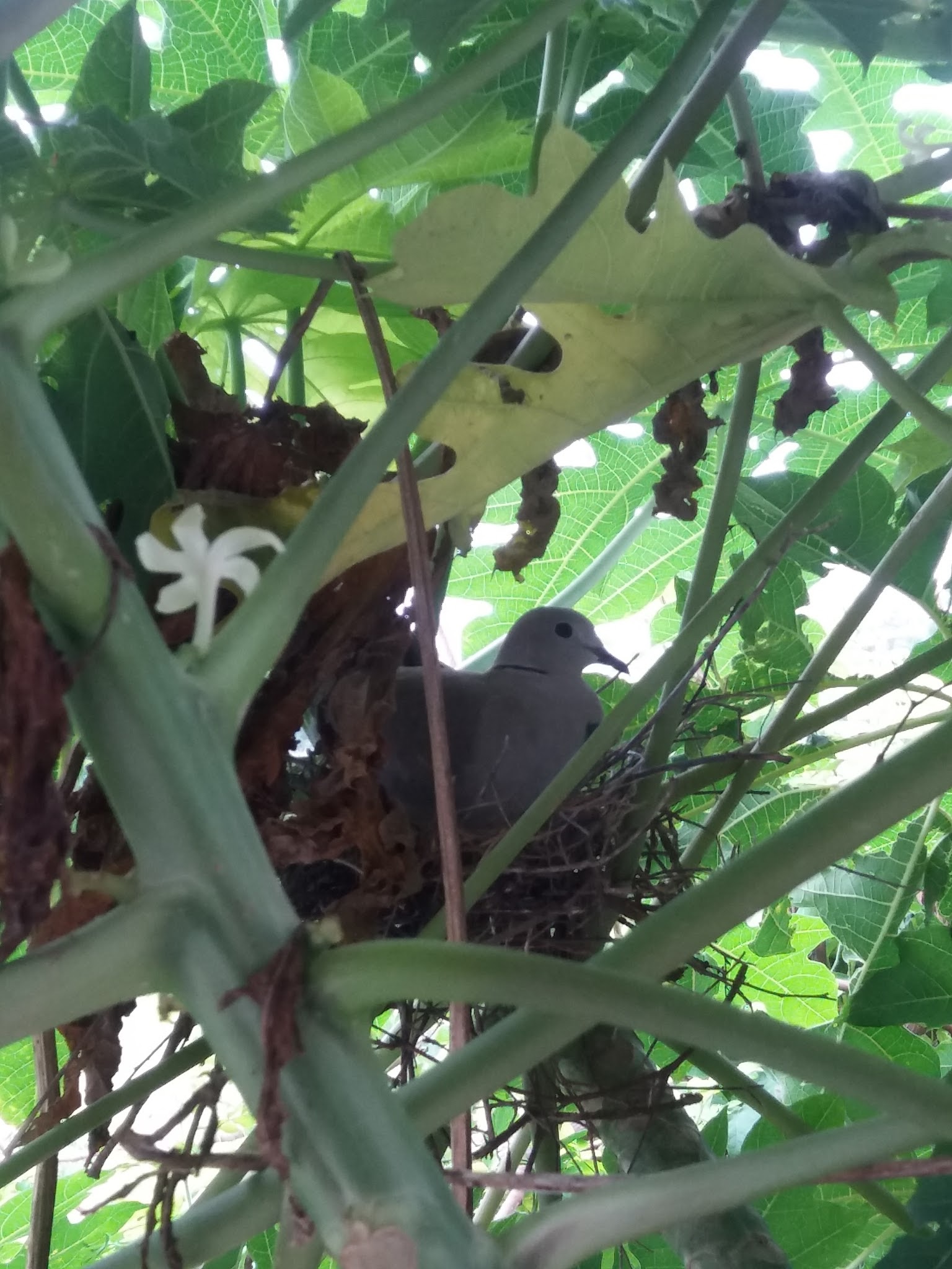 3043504625019179326-account_id=2