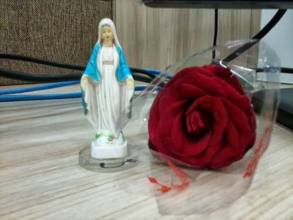 544893_10151900372145120_827942679_n