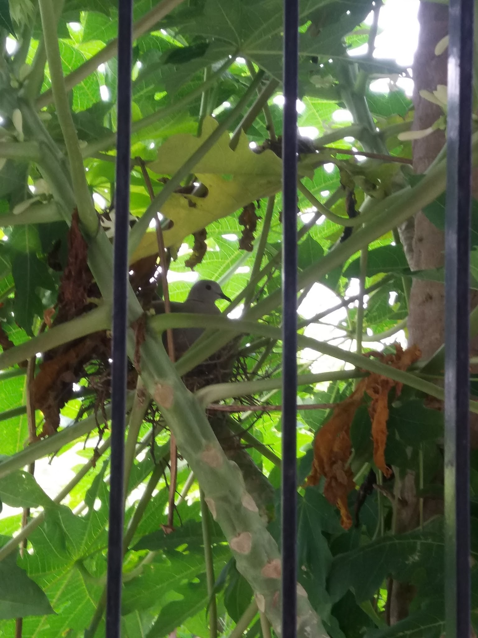 6474048657419102105-account_id=2