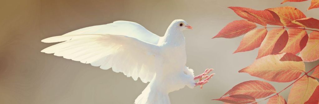 An Instrument of&nbsp;Peace