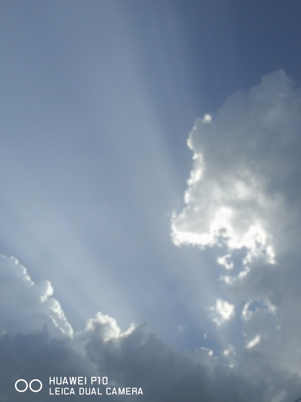 300+ 🎉 🎈 🎈 🌟&nbsp;🎑