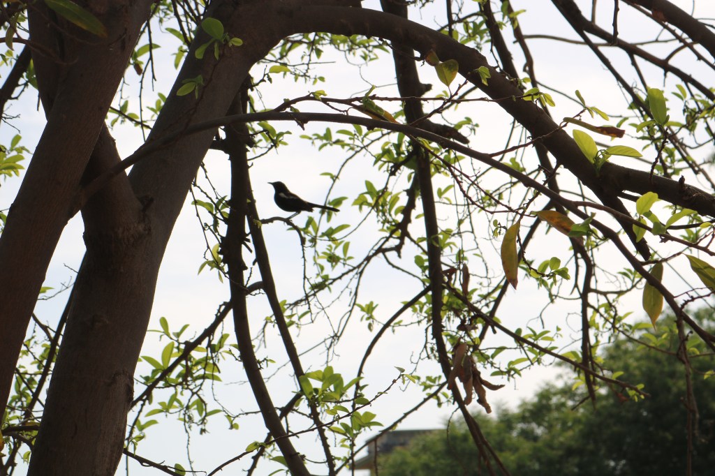 When I am&nbsp;home..