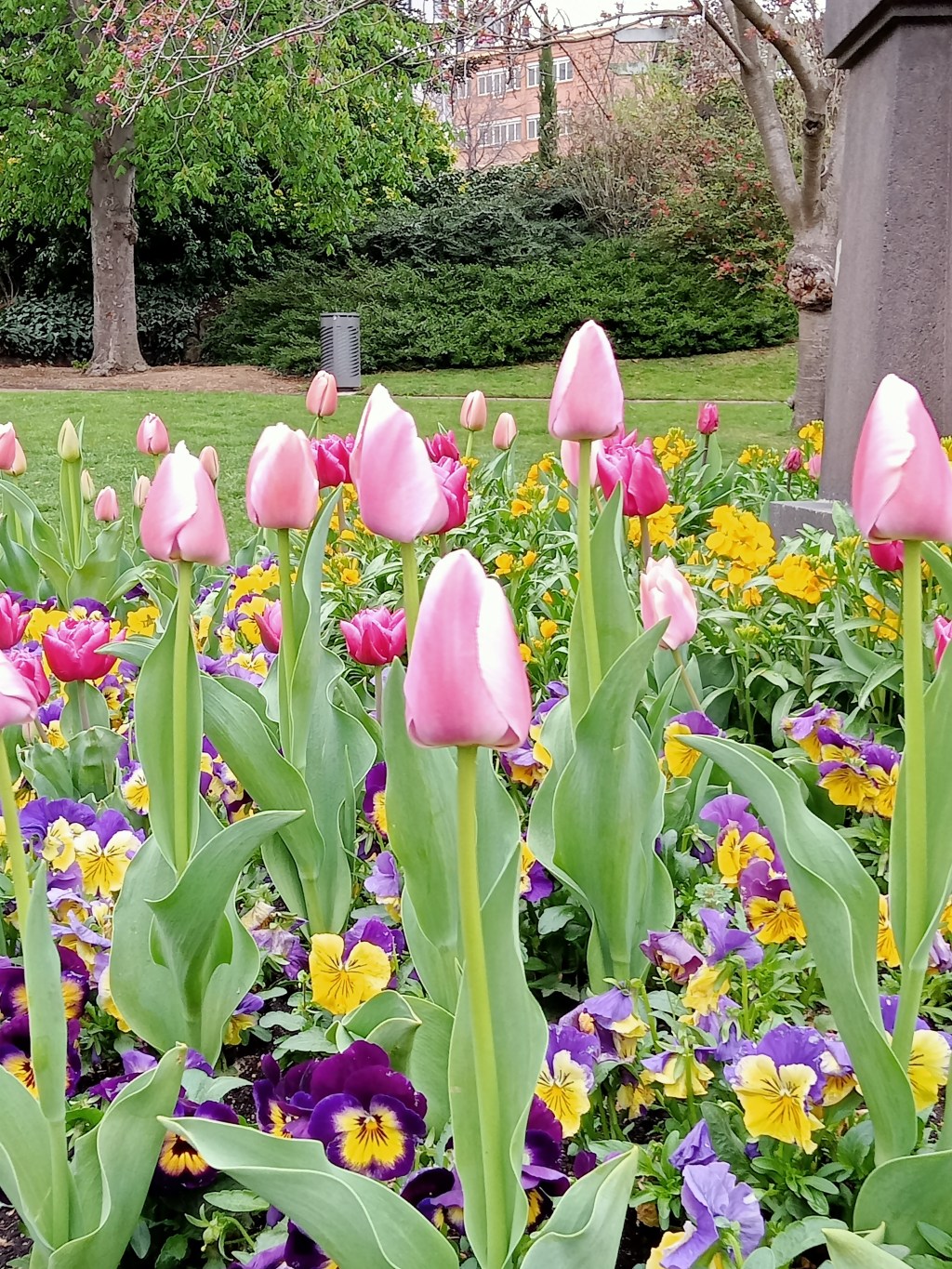 Sophie and the&nbsp;mirror..