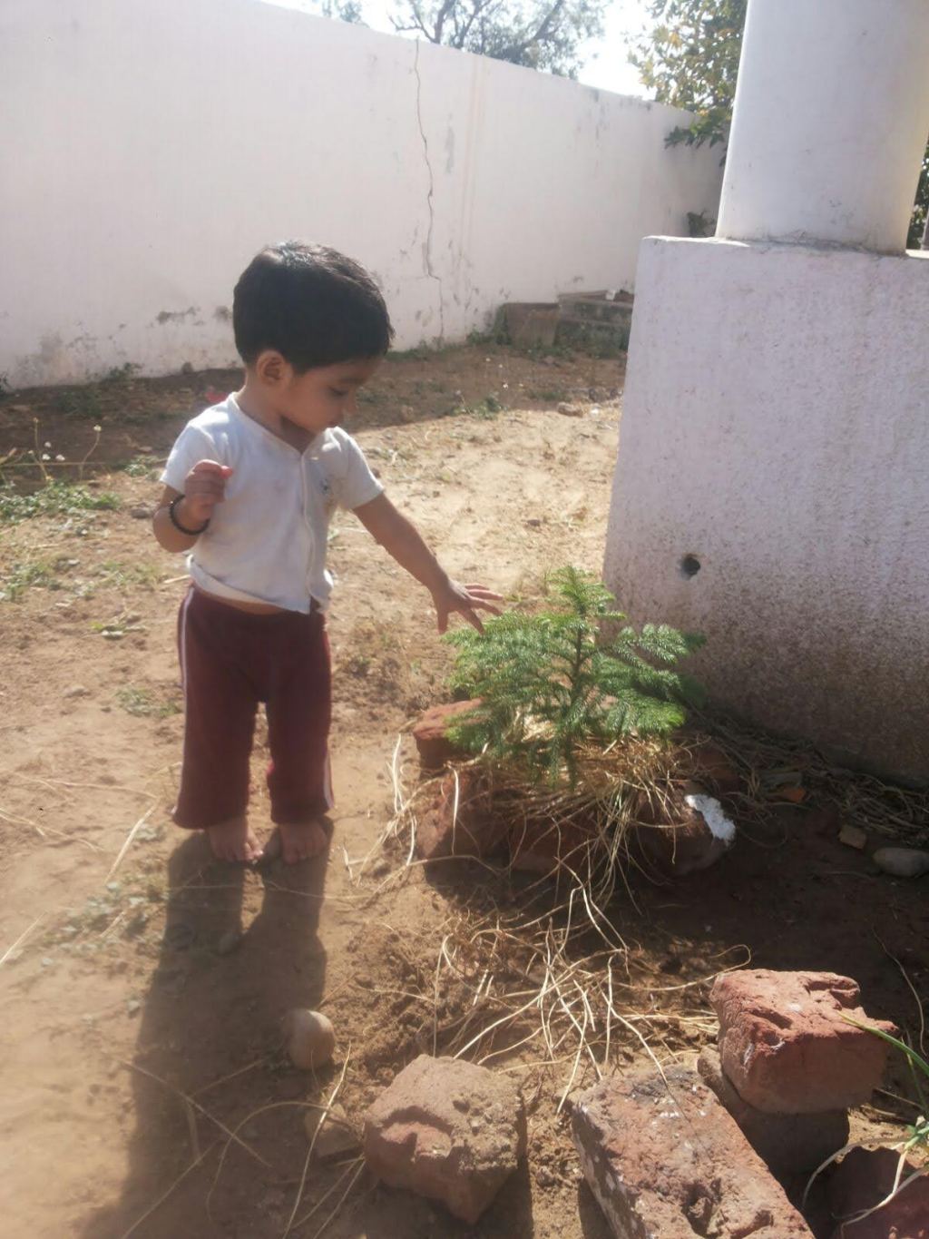 A cute memory!&nbsp;💖