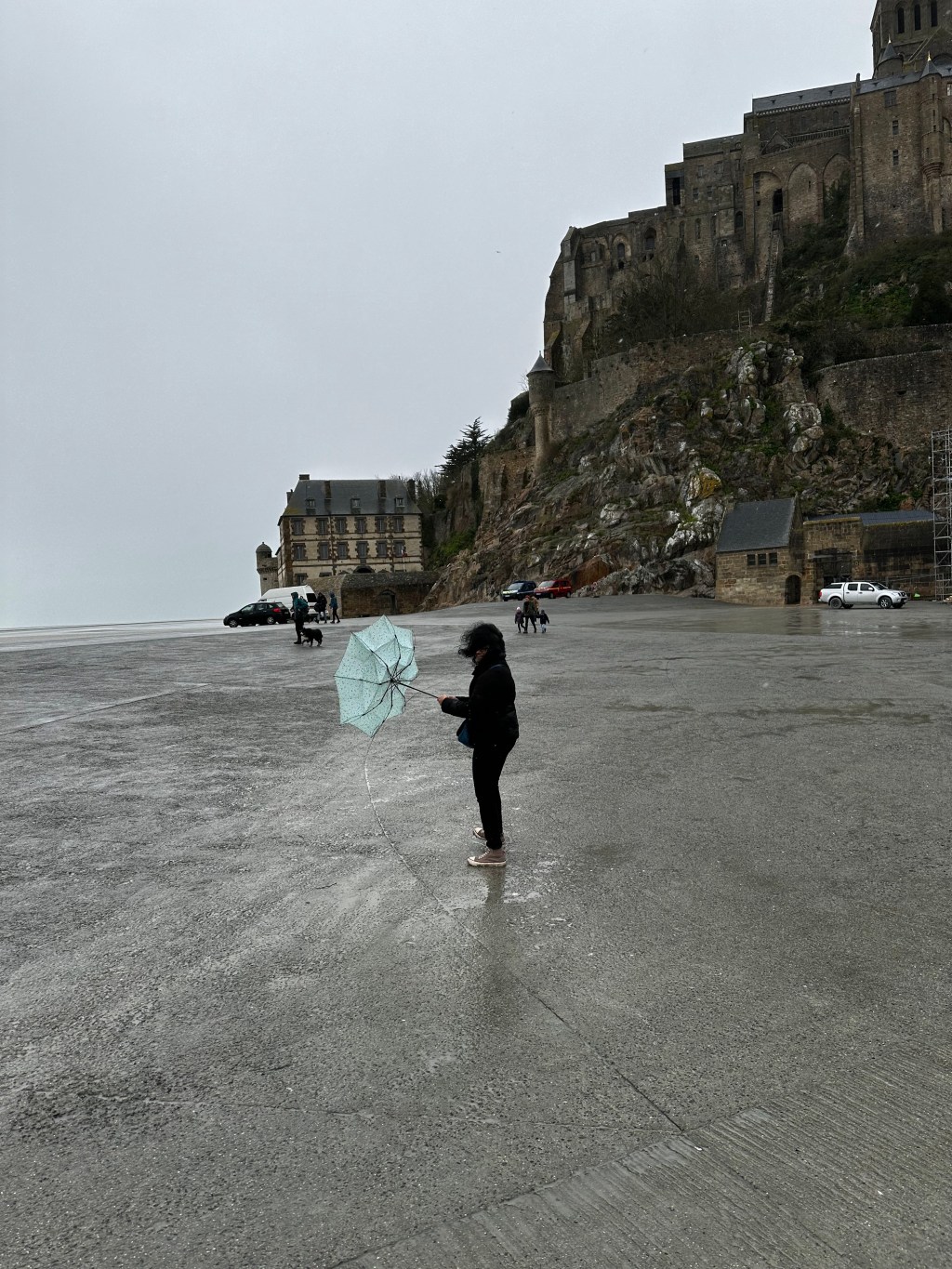 Surrender! But buy yourself a good&nbsp;umbrella.